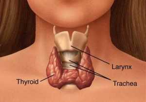 Autoimmune-Thyroid-Disease